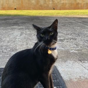 Meet your Posher, Michele